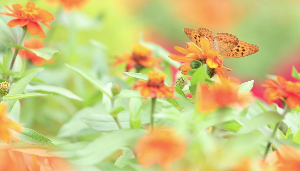 Коммунизм - это  для пролетариата. Сегодня - это вчера с завтрашнего дня. Утренний час' молчание золото.