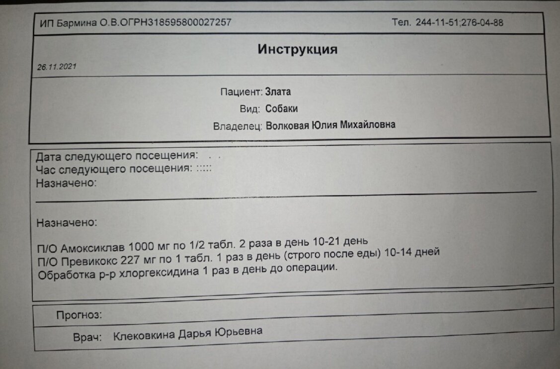 У Златы ново/образование и срочно нужно обследование! (Миша погиб) | ЯЖИВОЙ  Дзен - спасенные животные в добрые руки г.Перми и Пермского Края 59 регион  | Дзен