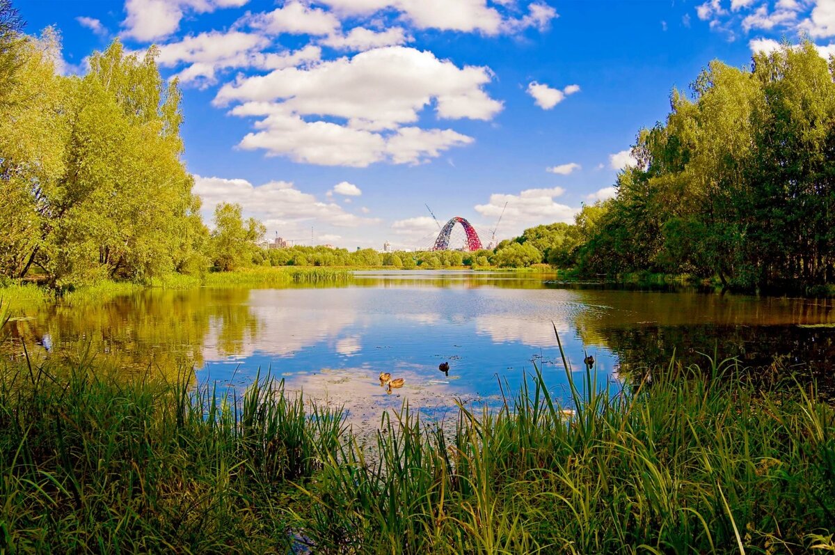 В большом Москворецком парке можно гулять каждый день и открывать что-то новое