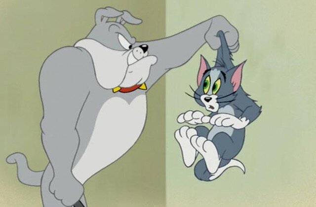 Бульдог, вечно доставлявший кучу проблем Тому