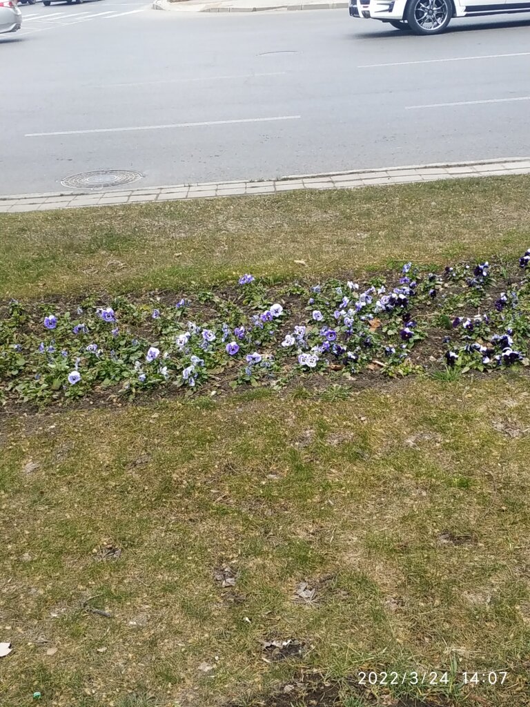 улица Красная, Краснодар