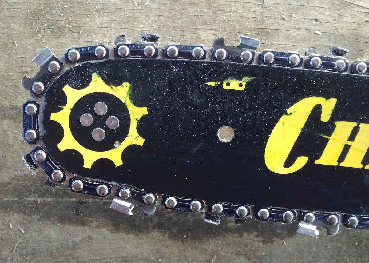 Фото личное.