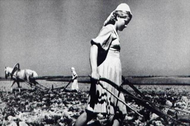 Источник фото: https://kuban.aif.ru/society/aby_kak_truditsya_ne_umeli_kak_devushki_kovali_pobedu_v_tylu