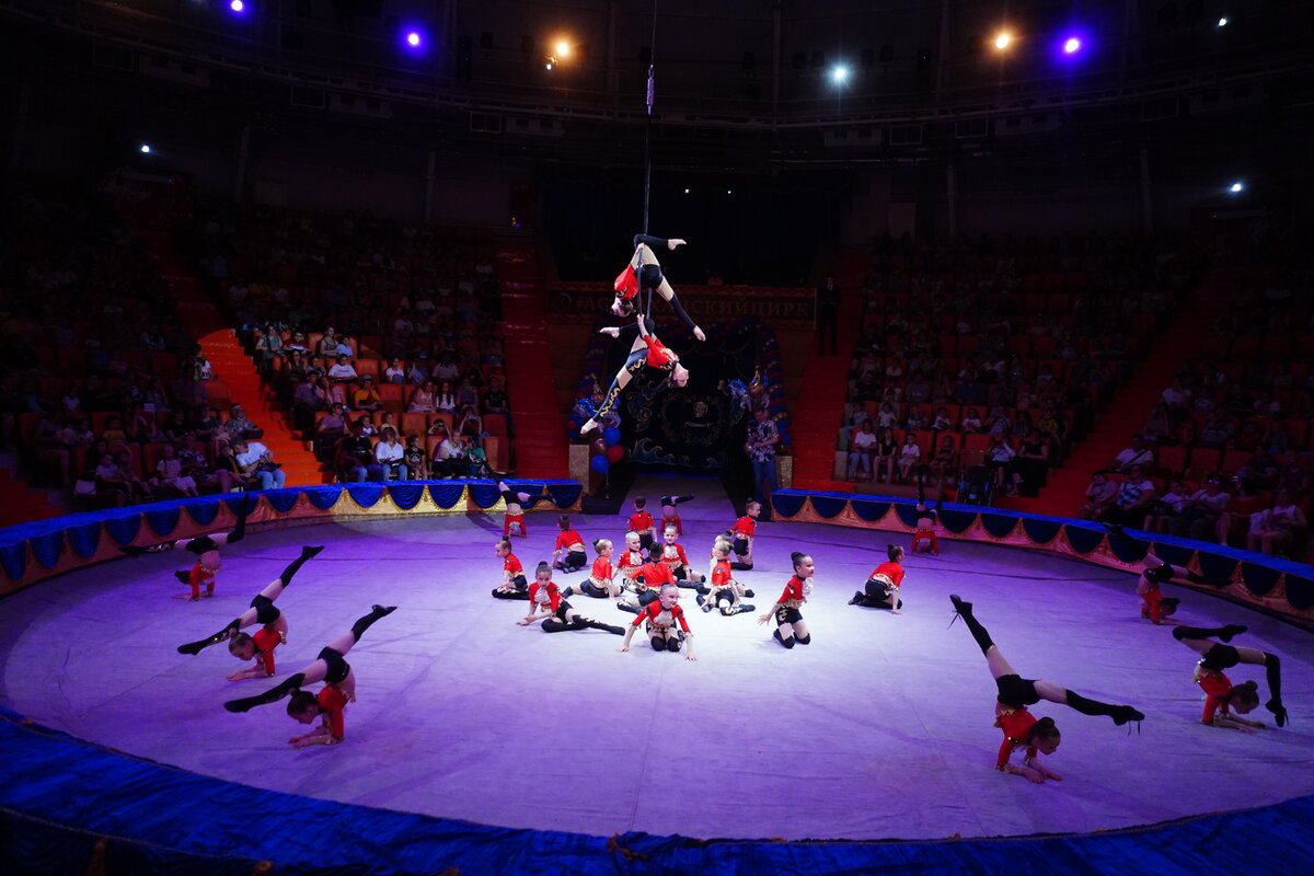 Лауреаты фестиваля