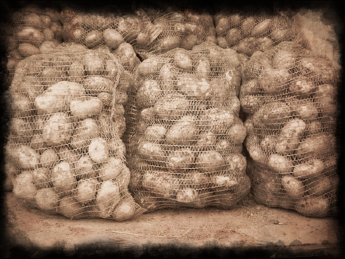 Вещмешки подразделения шумерских боевых фрилансеров в ходе любой битвы. Причём, не за урожай... Впрочем, у кого как.