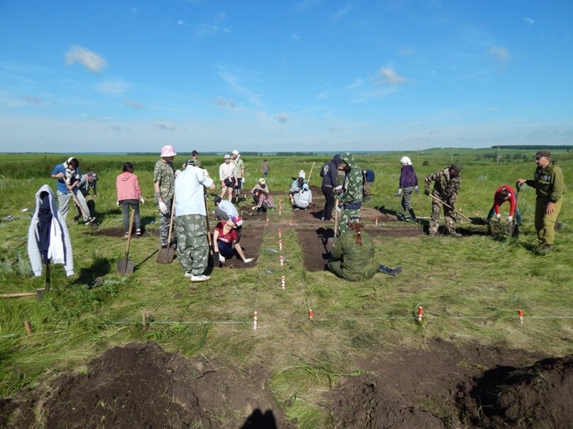 Раскопки в 2017 г.