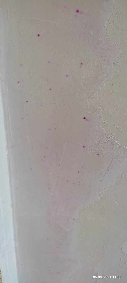 странные пятна фиолетового цвета