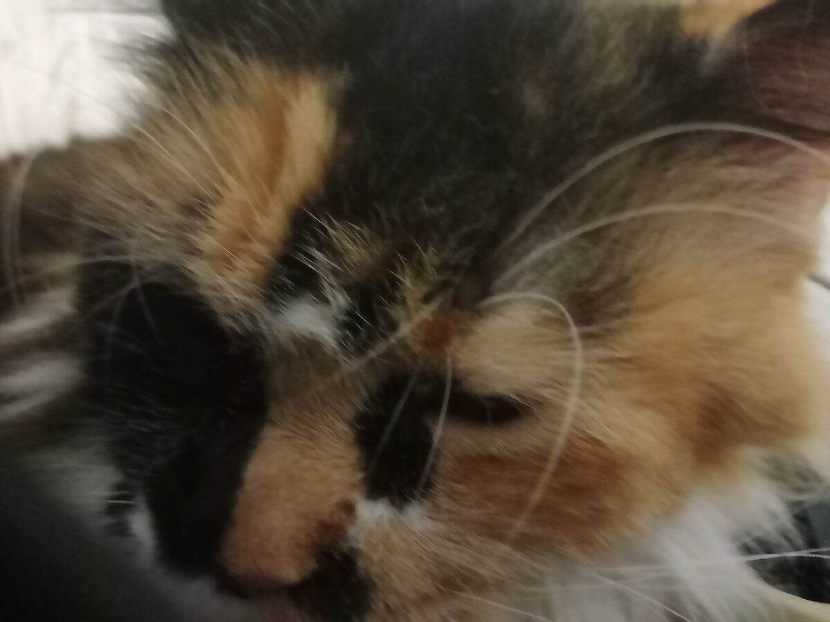 Моя малышка Бусинка.