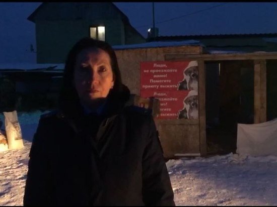     В Саратове в частном приюте обнаружили трупы более 80 собак и кошек Фото: прокуратура Саратовской области