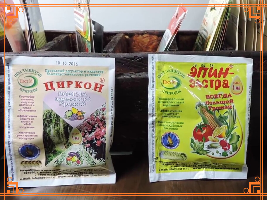 Фото из Интернета