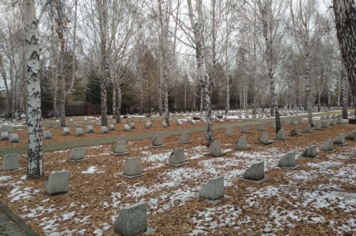    В Омске могут расширить мемориальное кладбище, где хоронят погибших на СВО