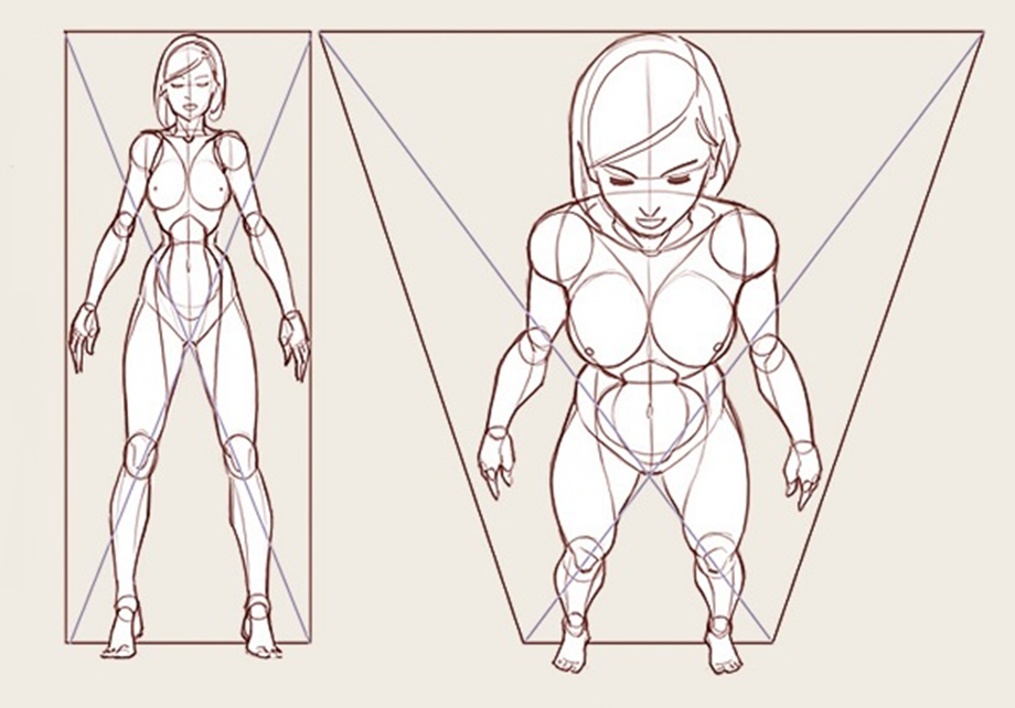 Анатомия персонажей. Референс человека перспектива сверху. Человек в полный рост референс перспектива. Ракурсы тела для рисования. Человеческая фигура в перспективе.