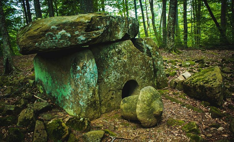 Взято из источников интернета.