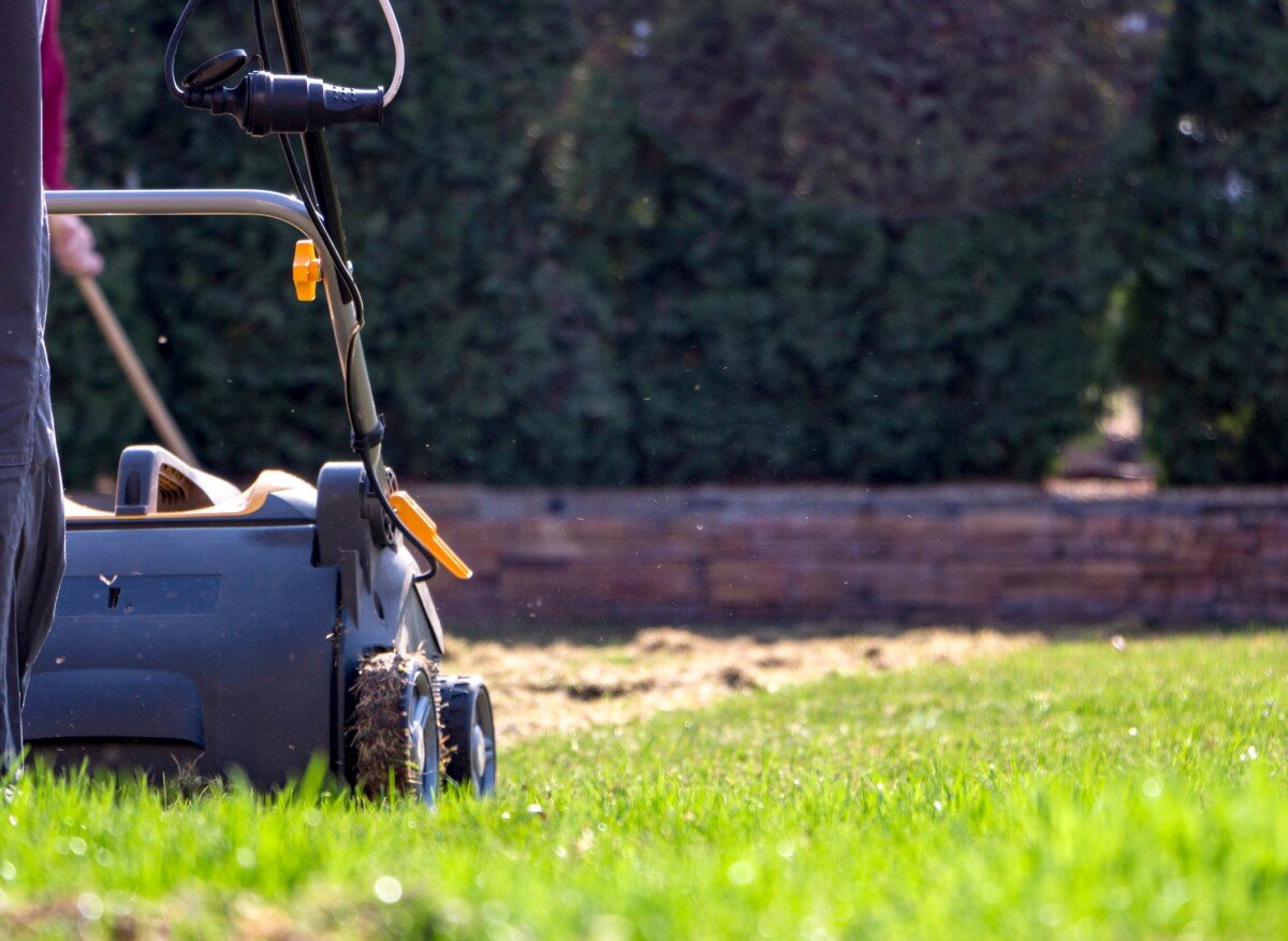  Что такое аэрация газона и скарификация? 