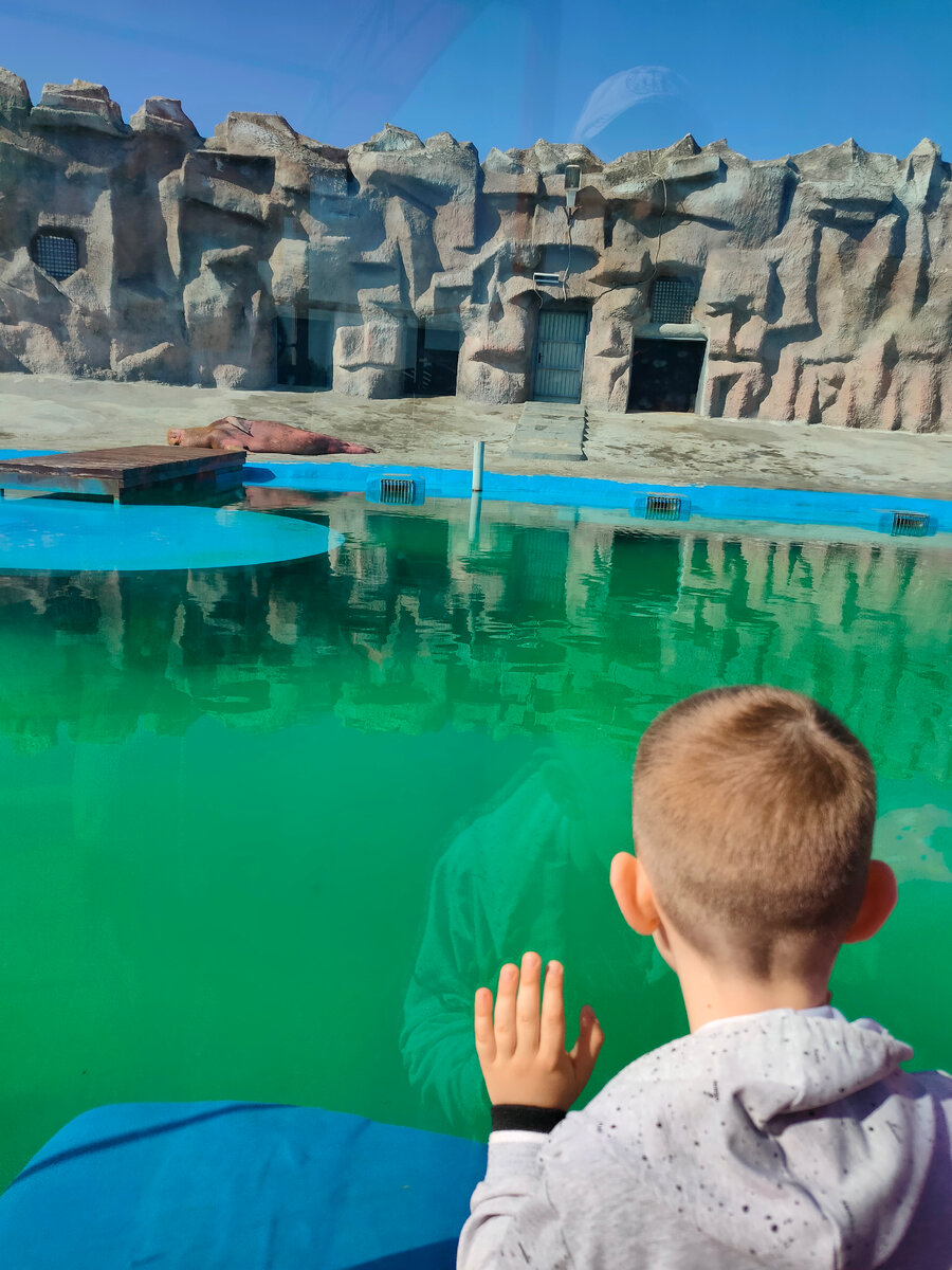 В зоопарке города Ижевск. 