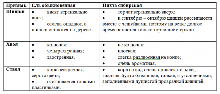 хвойные голосеменные растения 5 класс биология. характеристика сосны и ели. сосна ель елка отличие. основные признаки ели. сравнительная характеристика ели и сосны таблица 7 класс биология.