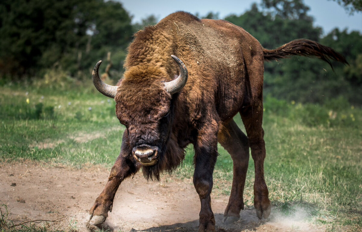 Фото pixabay.com