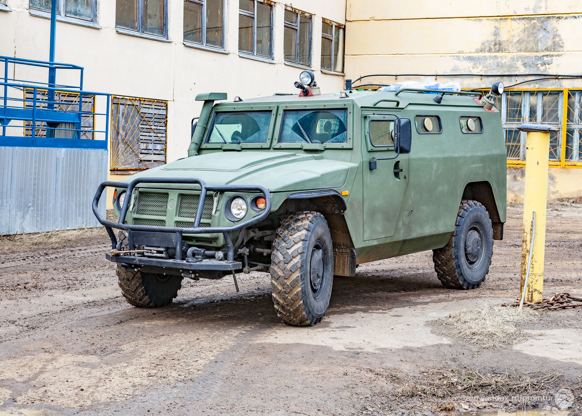 Автомобиль тигр картинки