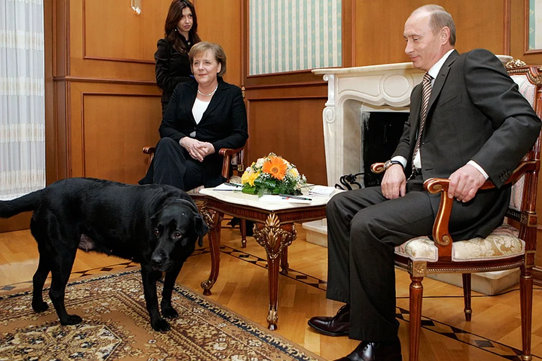 Из поиска Яндекс. Конни.