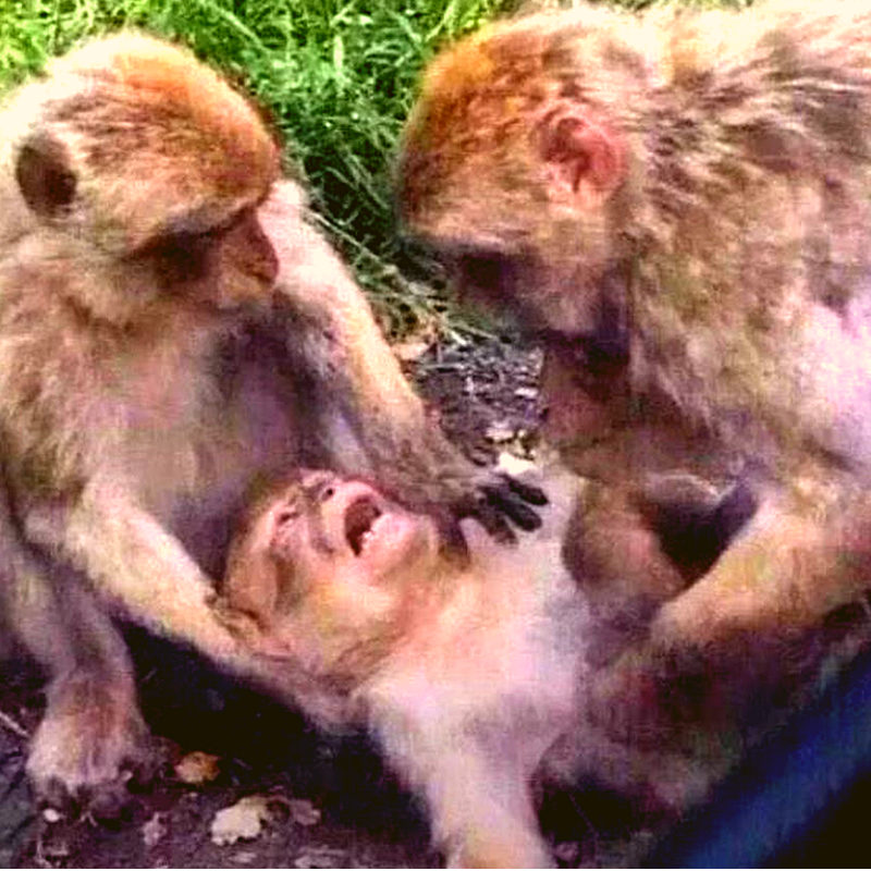 Источник: Яндекс картинки.