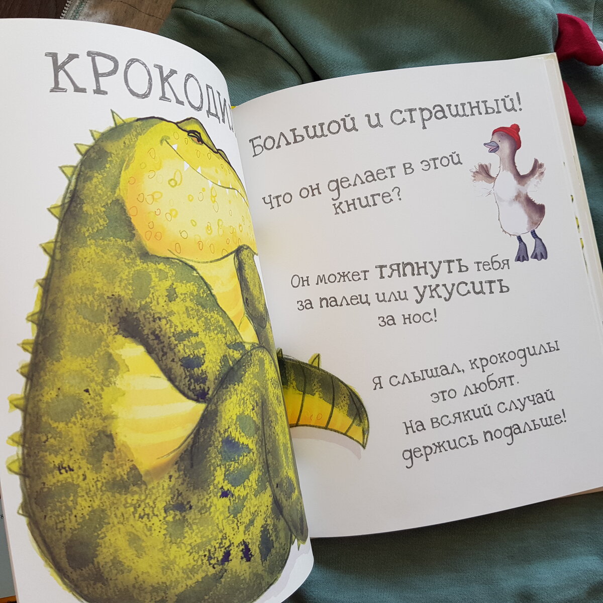 Крокодил, уходи!»: интерактивные книги для самых маленьких | ДЕТИ и КНИГИ |  Дзен