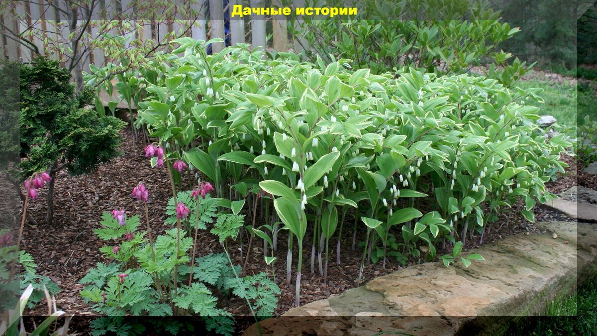 https://vk.com/photo-159774511_456241764