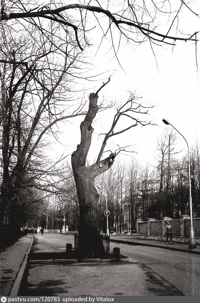 Источник: pastvu.com