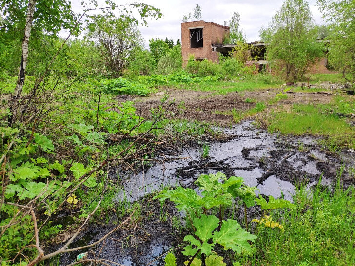 Дома в нудоле. Река нудоль. Поселок нудоль фото. Нудоль поселок. Нудоль (московская область).