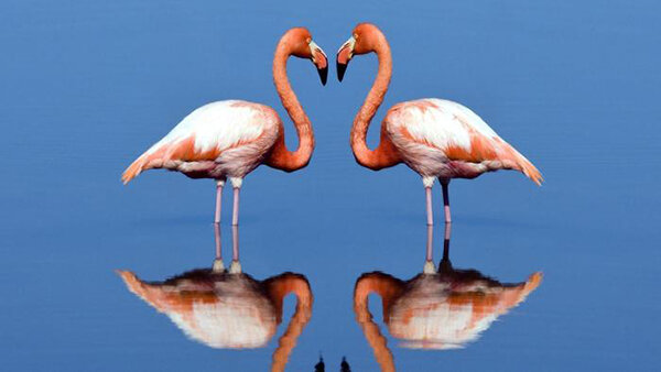 Равнодушие → Все души равны