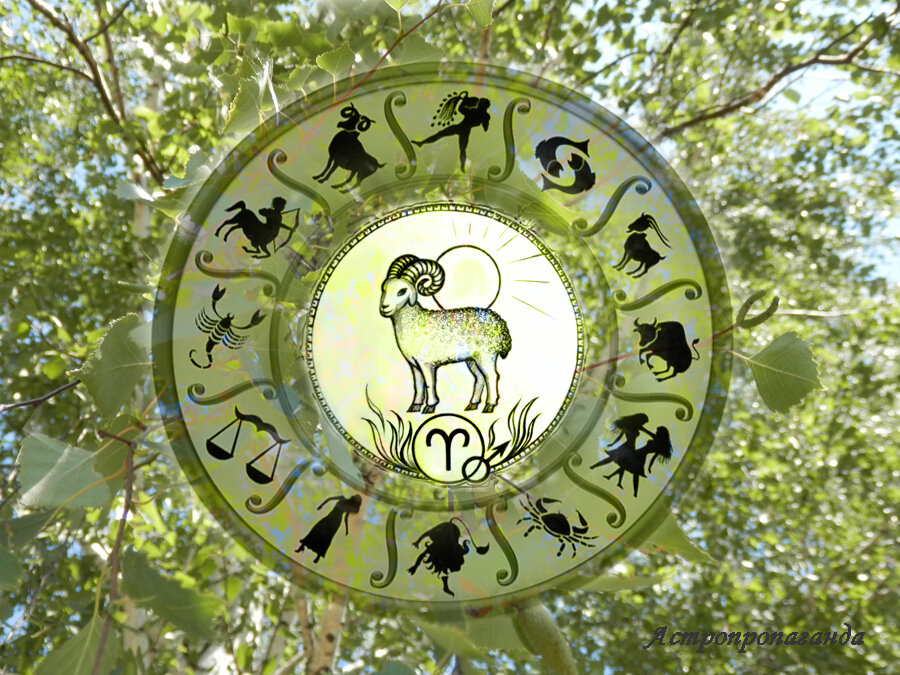 Коллаж Нины Стрелковой.