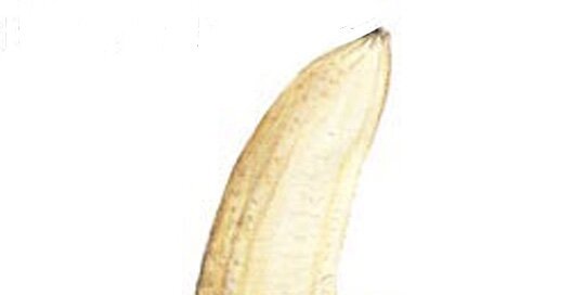 Кончик банана