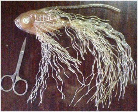 Изображения взяты из яндекс картинок 