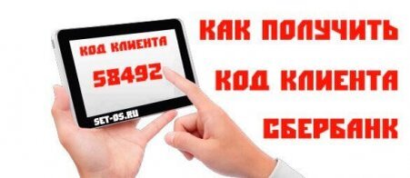 Фото взято с открытых источников