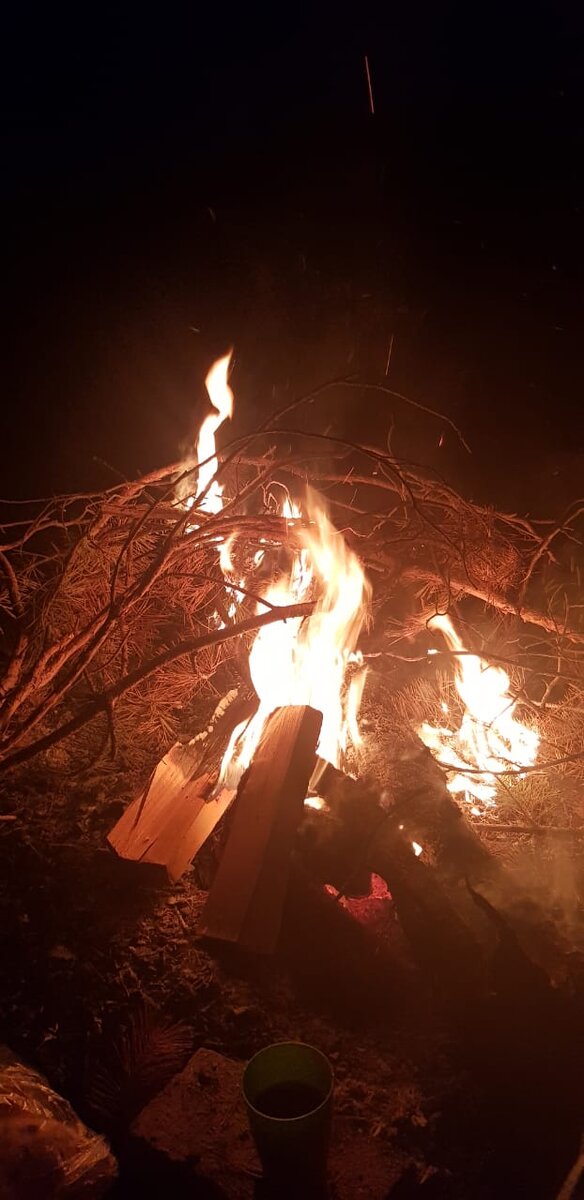 Летняя ночь на озере