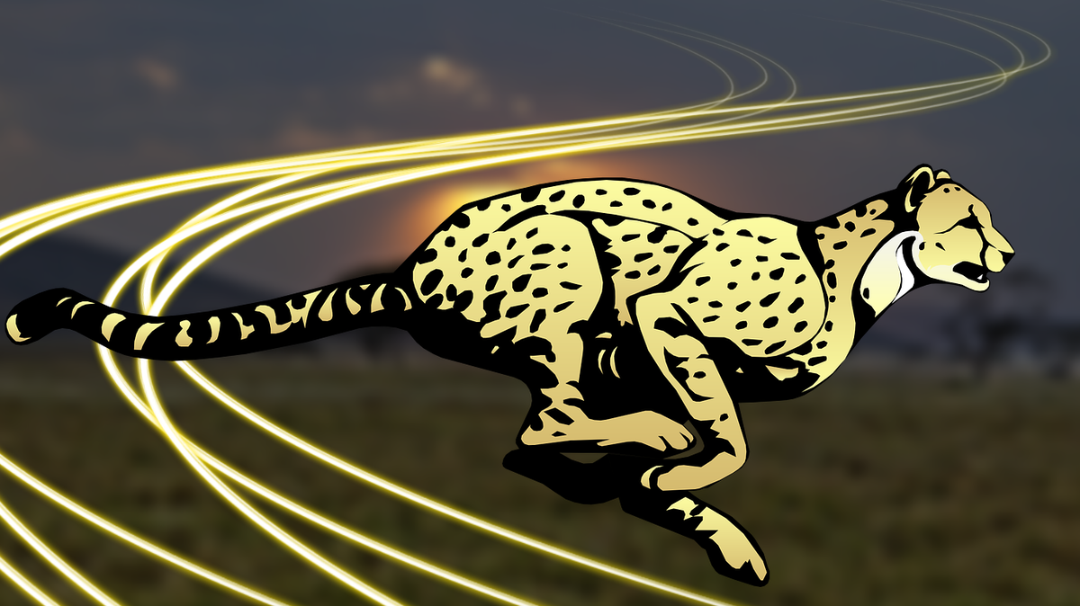 Сколько скорость гепарда