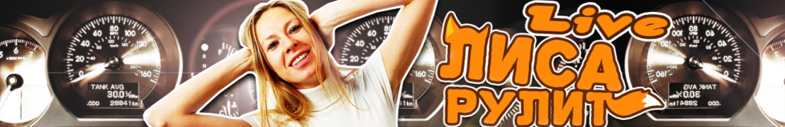 Лиса Рулит. Лиса Жарит