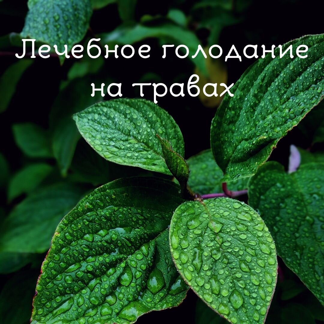 Условное очистительное голодание по Марве Оганян