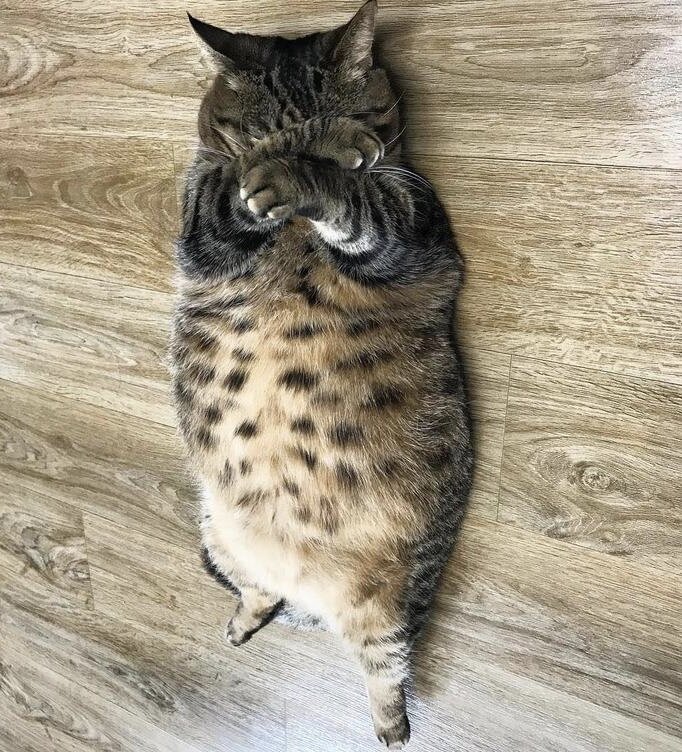 Фото с сервера Яндекс.Картинки