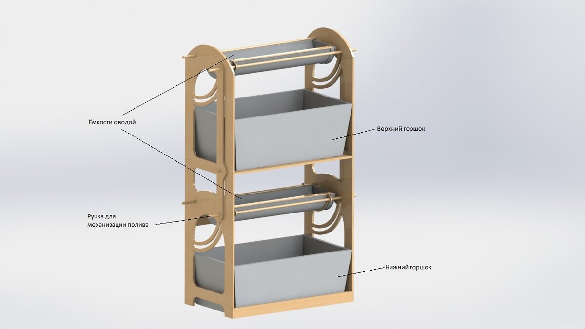 Внешний вид