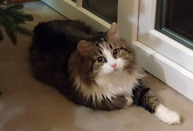 Василий у нас