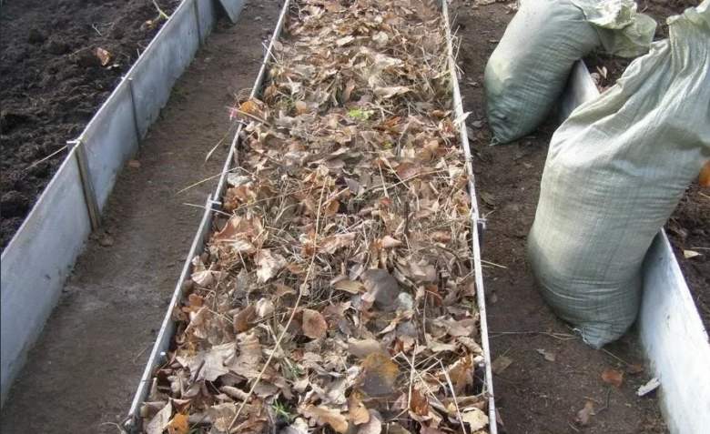 Создание «теплой» грядки для огурцов