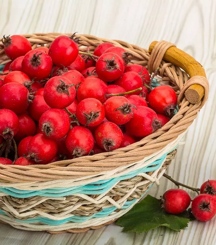 Источник фото: Shutterstock