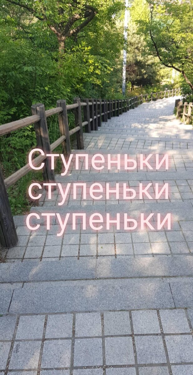 Спуск с горы Намсан, май 2019г.