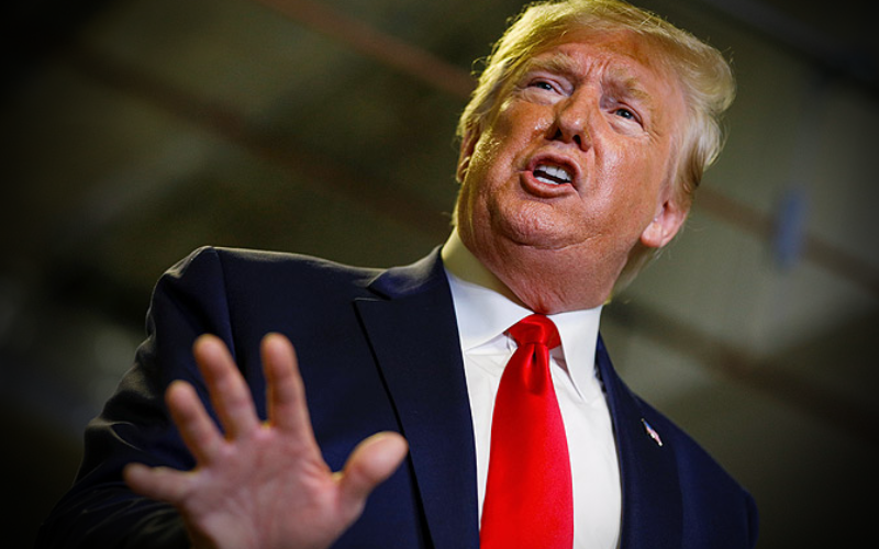 Выборы назначены на 3 ноября 2020 года