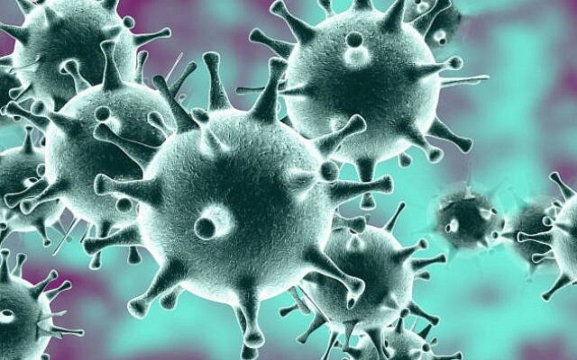 Коронавирус - семейство вирусов, они имеют своеобразную "корону". 