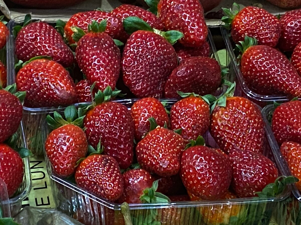 Фото автора. Порой зимой очень хочется клубники, но понимаешь что на вкус как трава.