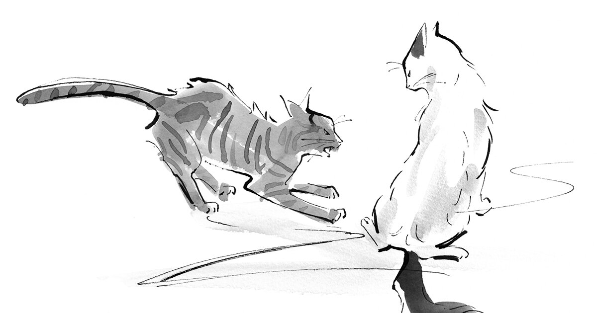 Иллюстрации из книги «Хроники странствующего кота»