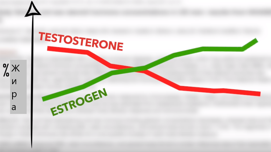 при повышении процента жира, тестостерон падает.