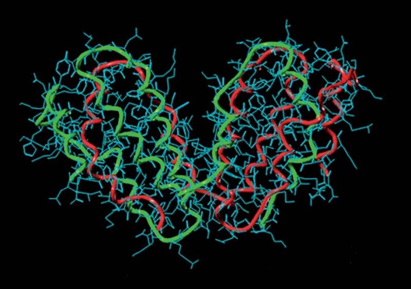 изображение из открытых источников сети Интернет. Интерферон