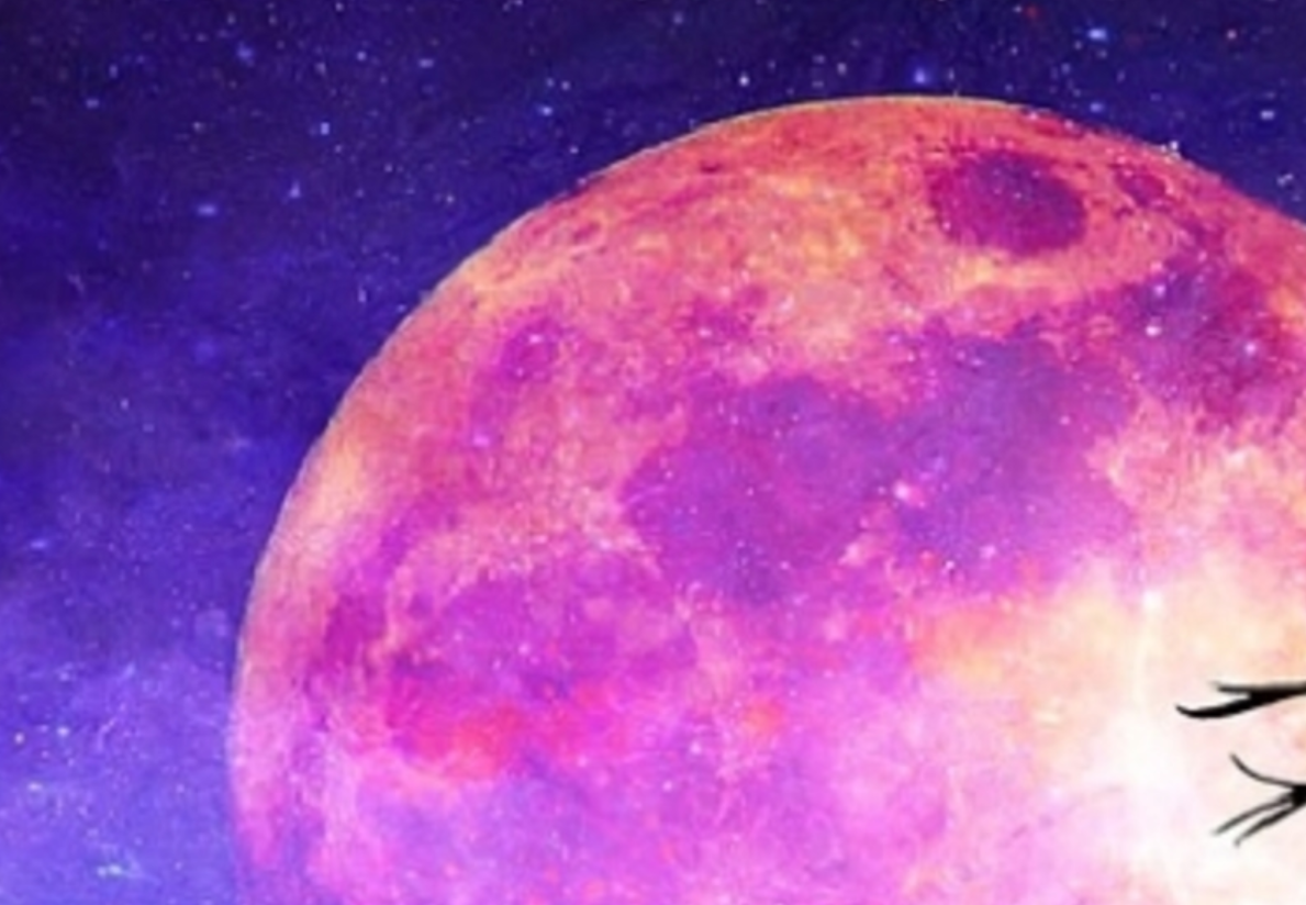 Иллюстрация из разрешенного источника. Яндекс картинки.